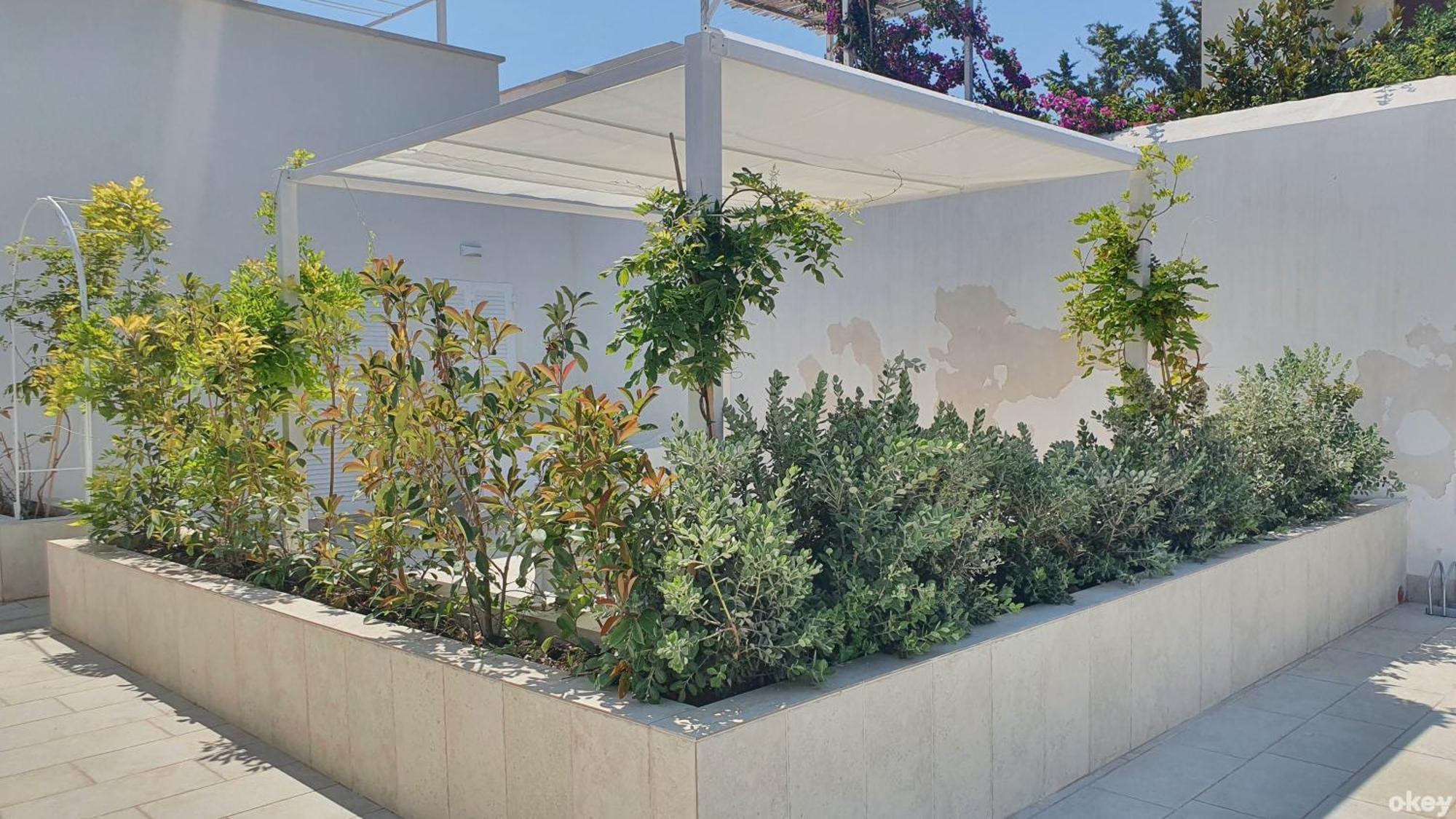 Appartement Mediterranea - Seaview, Pool & Garden